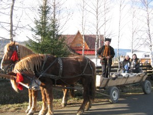 IMG_0995