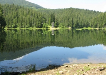 Закарпатська дзиґа в червні