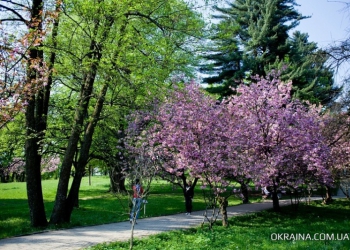 Травневі свята на Закарпатті