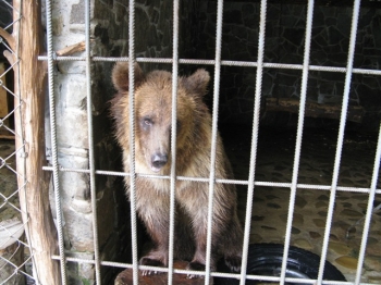 Ту Стань