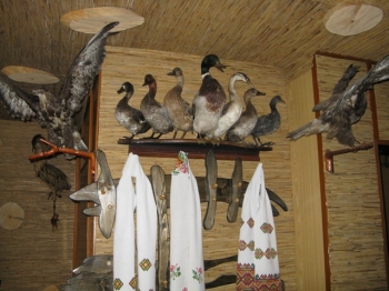 Ту Стань