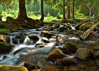 Гори, коні, ріки