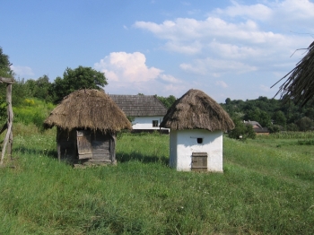 Буковина плюс Поділля