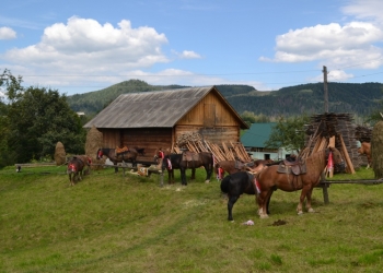 Гуцульская свадьба в Космаче