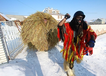 Маланка Буковинська