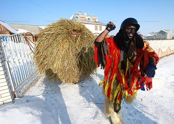 Маланка Буковинська