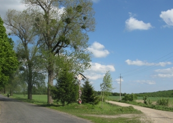 Волинські святині