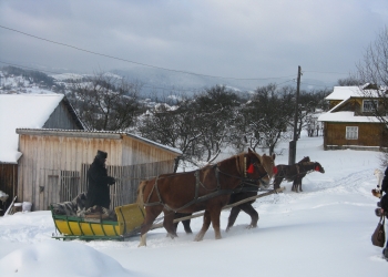 Зимові Карпати (коні, сані, майстри, Святий Миколай)