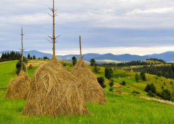 Косівські майстри + Місця сили Карпат