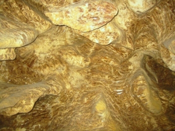 Каменное кольцо Подолья (крепости, пещеры, сплав по Днестру)