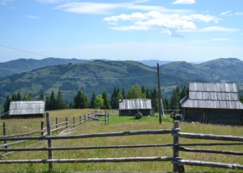 Державність, народність, мистецтво Гуцульщини