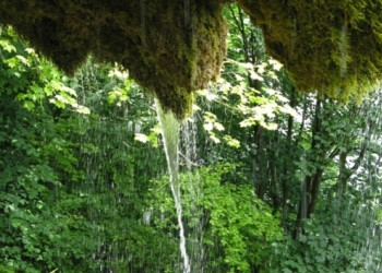 Дністровський каньйон і печери Подністров'я