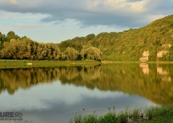 Сплав на каное Дністром